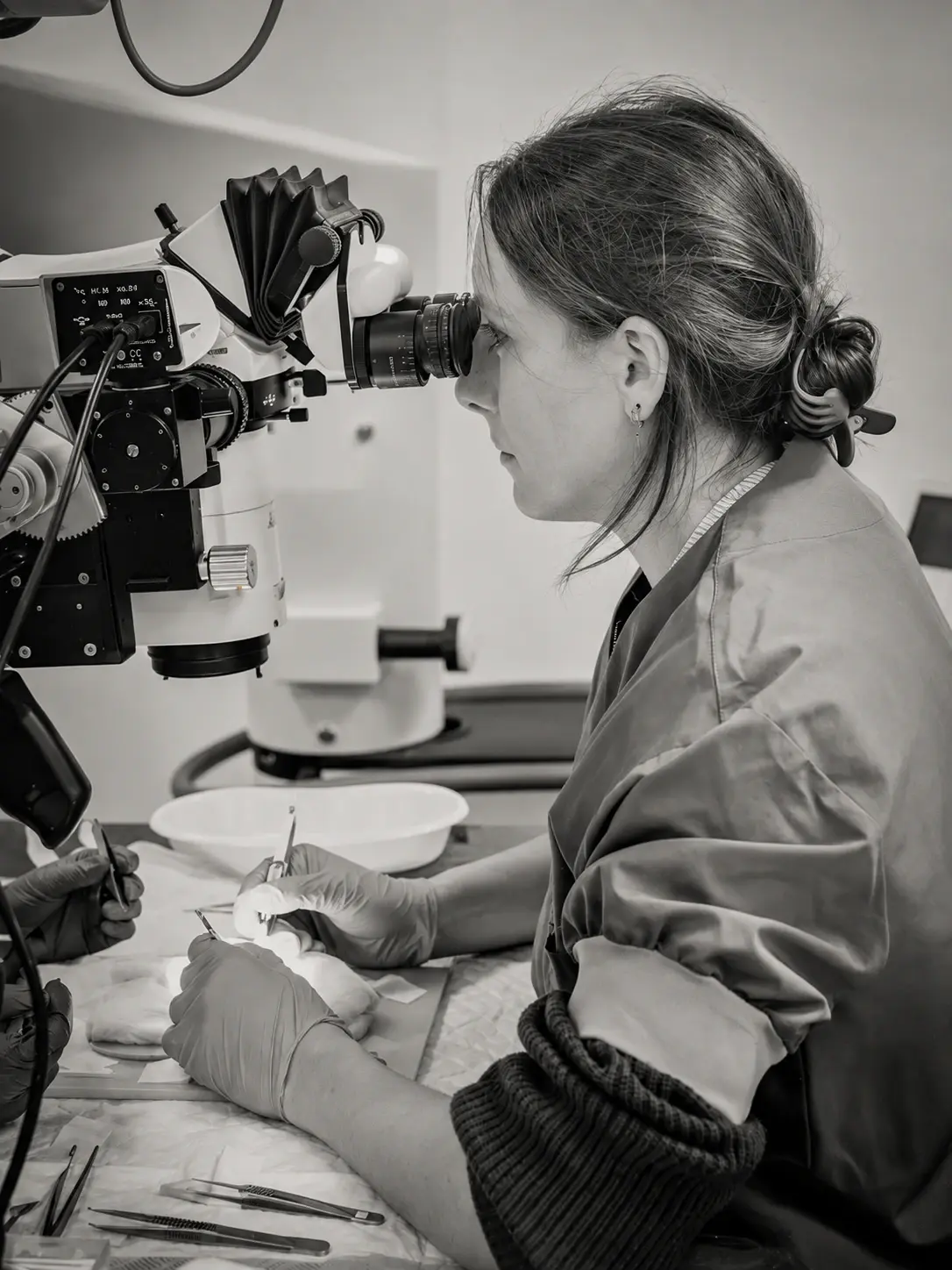 Dr Virginie Van Boeckel en microchirurgie